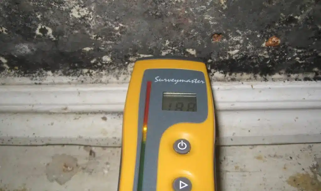 Layton Mold Inspection services from Bio Clean of Utah. A picture of a moisture meter reading a damp wall.