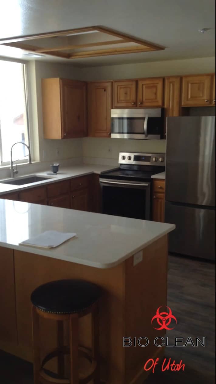 Condo mold damage inspection. Picture of a kitchen in a condo with hidden mold damage.