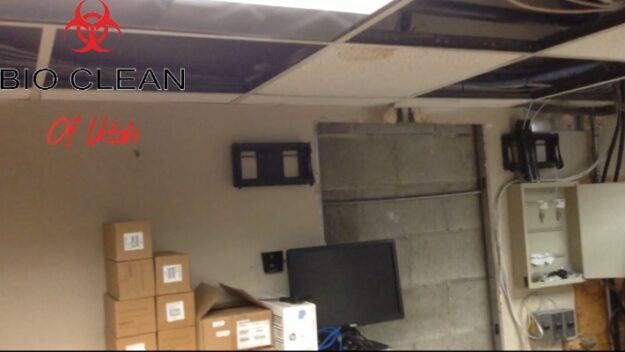 Mold under base boards found during a mold inspection.