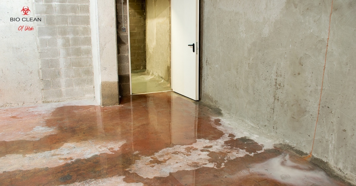 Water damage restoration process in Utah home