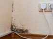 Image showing signs of mold in a Utah home