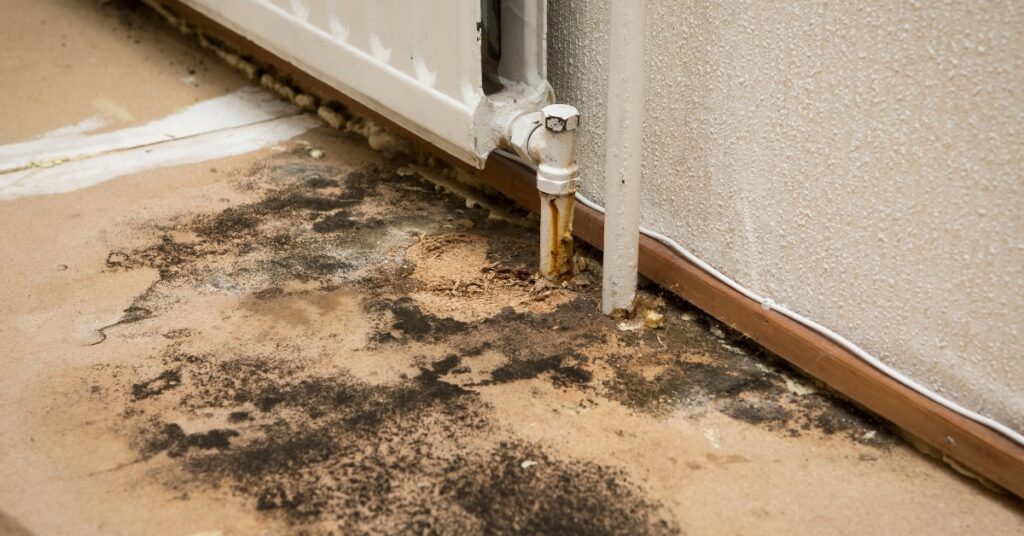 Certified mold damage cleanup technician in Utah home
