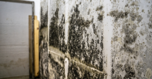 Bio Clean of Utah performing mold inspection