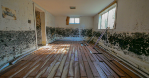 Air purifier reducing humidity and mold smell indoors