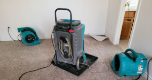 Mold growth behind wall causing bad odor