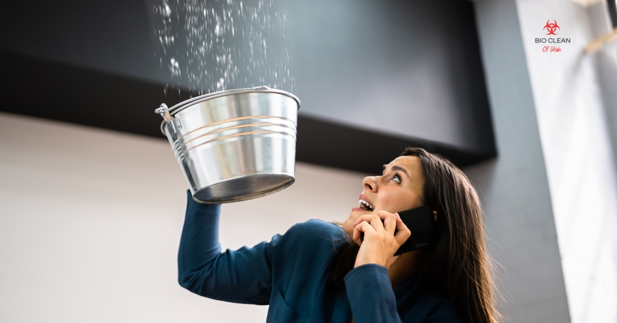 Immediate water damage response team performing emergency water cleanup in Utah