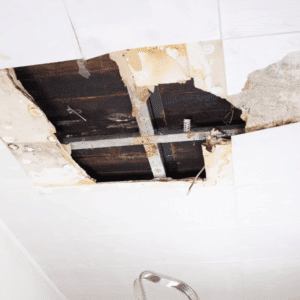 Close-up of early-stage mold on drywall or ceiling. Keep it realistic, subtle, and not extreme.