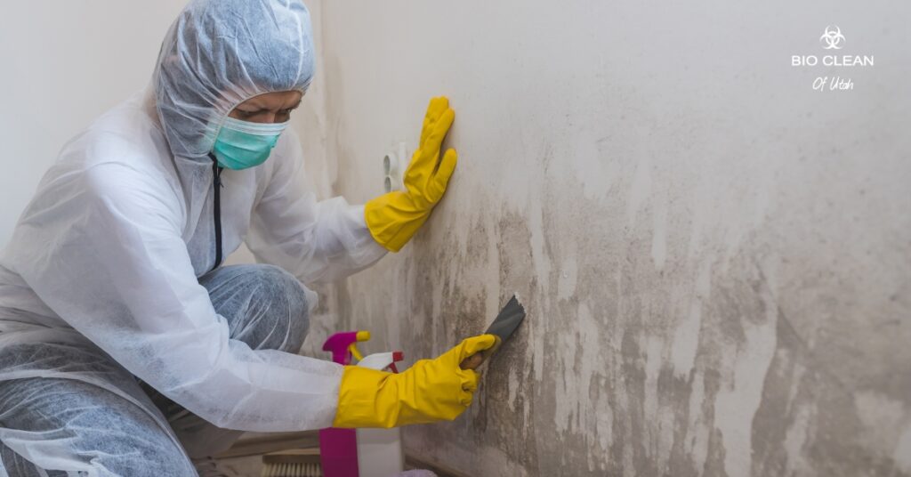 Technician performing mildew removal in a residential home