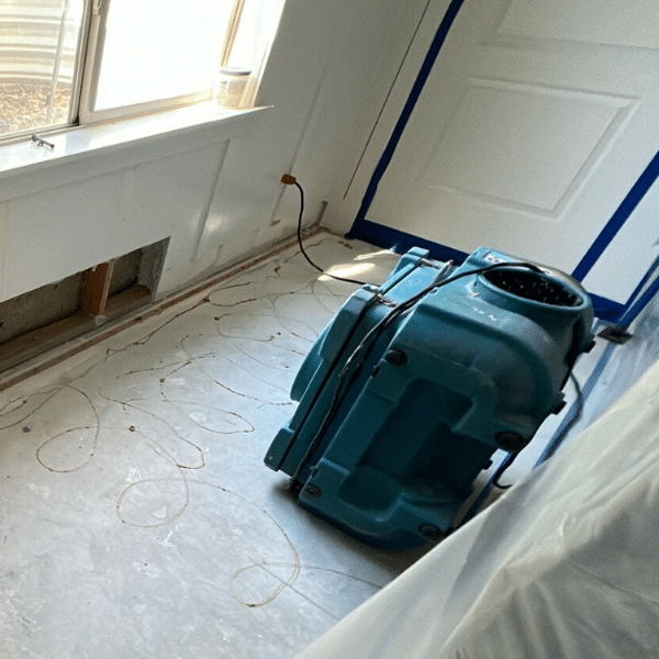Bio Clean of Utah team performing mold remediation and flood cleanup