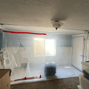Certified mold removal specialists in protective gear during remediation