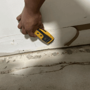 Black mold growth inside HVAC vent system